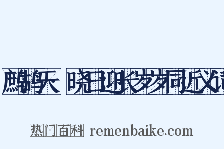 鹧鸪天·晓日迎长岁岁同近义词是什么意思的图片